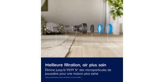 Aspirateur balai ELECTROLUX EP83UB25SH 800