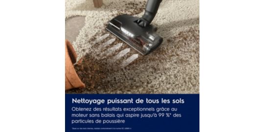 Aspirateur balai ELECTROLUX EP83UB25SH 800