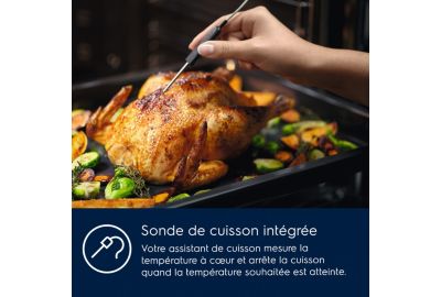 Four Pyro ELECTROLUX EOD6P67WH SteamBake