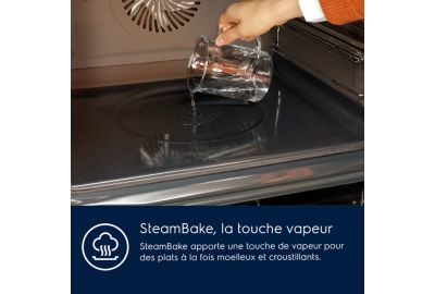 Four Pyro ELECTROLUX EOD6P67WH SteamBake