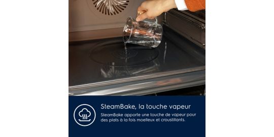Four Pyro ELECTROLUX EOD6P67WH SteamBake