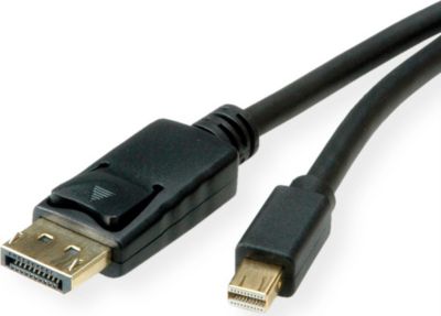 Câble DisplayPort ROLINE 11045815