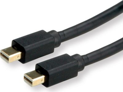 Câble DisplayPort ROLINE 11045817