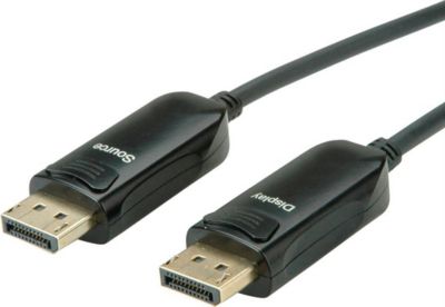 Câble DisplayPort ROLINE 14013491