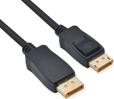 Câble DisplayPort ROLINE 11046022 Câble DisplayPort ROLINE 11046022