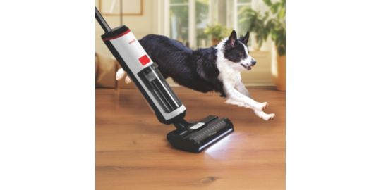 Entretien Calc Cleaning et écran LED Polti WD10
