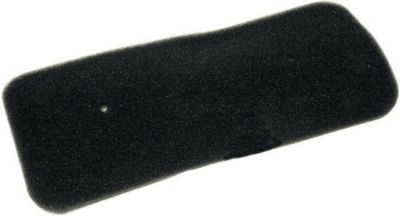 Filtre CANDY FILTRE EPONGE - 40006731