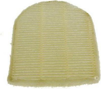 Filtre HOOVER Filtre sortie Hepa T87/T93 FREESPACE 356