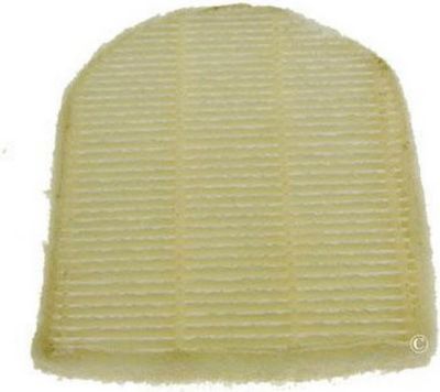 Filtre HOOVER Filtre sortie Hepa T87/T93 FREESPACE 356