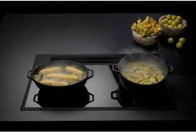 Table Induction Aspirante Falmec Sintesi3420