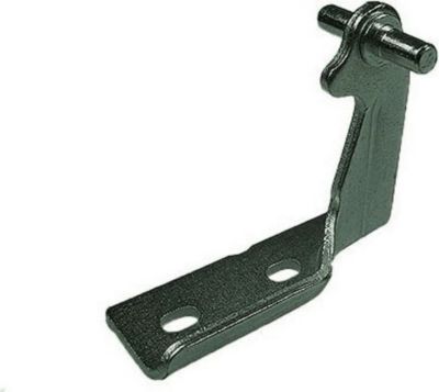 Charnière INDESIT CHARNIERE CENTRALE ZINGUE - C00272430