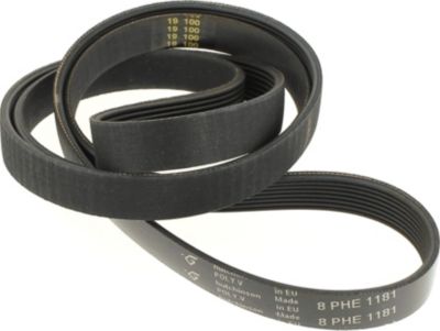 Courroie INDESIT COURROIE L=1181 MM H8 - C00066521