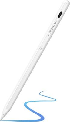 Stylet AVIZAR pour iPad Pro Magnétique avec Port USB C