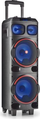Haut-parleur NGS NGS WILD DUB1-Haut-parleur Portable 300W