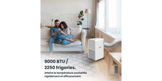 Climatiseur CECOTEC ForceClima 9150 Style