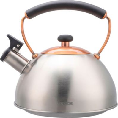 BRIEBE I-Bronze Théière Sifflet 2,3L Bronze