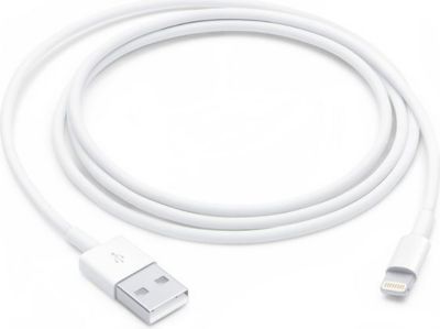 Câble Lightning APPLE Lightning vers USB-A 2.0 1m
