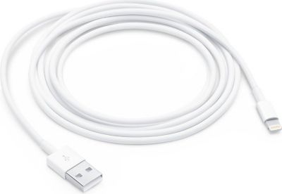 Câble Lightning APPLE Lightning vers USB-A 2.0 2m