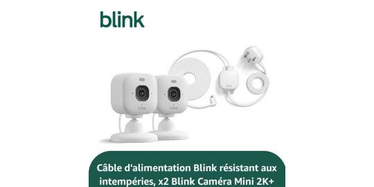 Caméra de surveillance BLINK Indoor Outdoor Camera