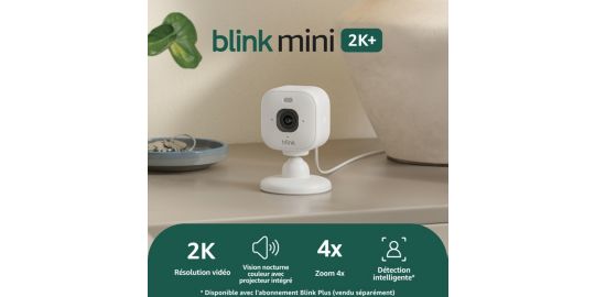 Caméra de surveillance BLINK Indoor Outdoor Camera