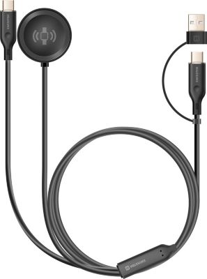 Câble USB SWISSTEN 2 en 1 pour Galaxy Watch et Smartphone