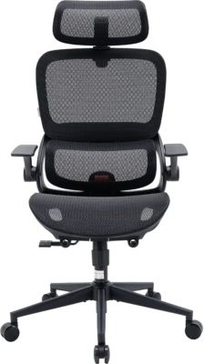 Fauteuil ergonomique SIHOO SIHOO B100-M101