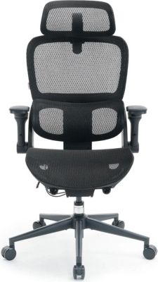 Fauteuil ergonomique SIHOO SIHOO B300 Pro noir sans repose-pieds