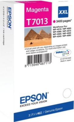 Cartouche d'encre EPSON C13T70134010