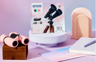 Cartouche d'encre EPSON C13T02V64010