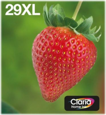 Cartouche d'encre EPSON C13T29964511