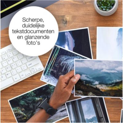 Cartouche d'encre EPSON C13T03U54010