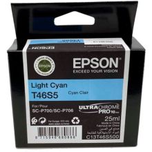 Cartouche d'encre EPSON T46S5 Light Cyan