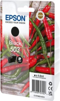 Cartouche d'encre EPSON C13T09Q14010