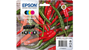 EPSON Cartouche imprimante PACK ANANAS 604 BBTT10G6 pas cher