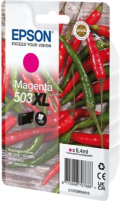 Cartouche d'encre EPSON C13T09R34010