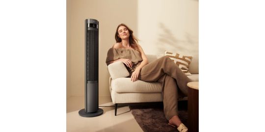 Ventilateur DUUX DXTF01