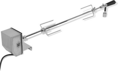 Broche à rotir VIDAXL avec moteur 900 mm Acier