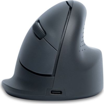 Souris sans fil R-GO-TOOLS Souris Ergonomique, droiter, gris