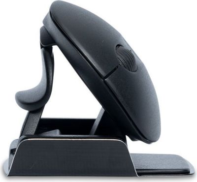 Souris sans fil rechargeable R-GO-TOOLS Souris Ergonomique, , noir