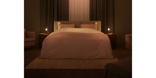 Ampoule LED connectée PHILIPS HUE White Ambiance E27 7W Filament