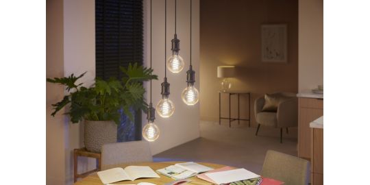 Ampoule LED connectée PHILIPS HUE White Ambiance E27 7W Globe Filament