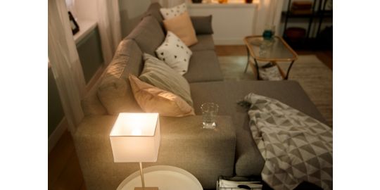 Ampoule LED connectée PHILIPS HUE White E14 Sphérique x2
