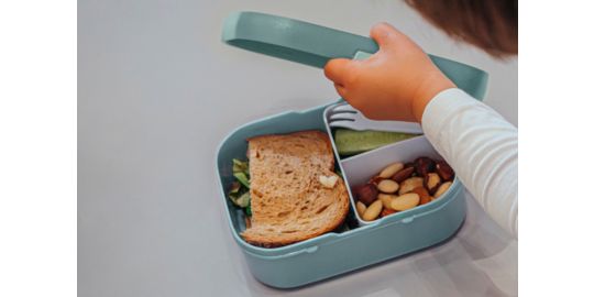 Bento MEPAL à déjeuner campus - forest friends