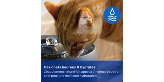 Fontaine PHILIPS a eau Serie Pet PAW3210/02