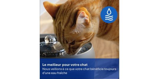 Filtres PHILIPS pour fontaine a eau PET PAW0010/01