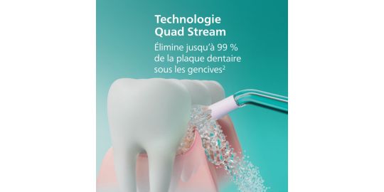 Hydropulseur PHILIPS HX3826/33 PowerFlosser sans fil noir