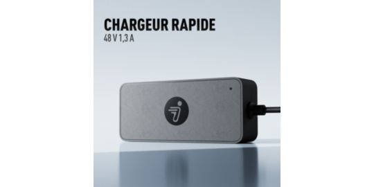 Chargeur SEGWAY Chargeur rapide (48V)