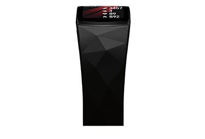 Montre SAMSUNG Gear Fit 2 Pro Noir/Noir taille L