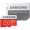 Carte Micro SD SAMSUNG Micro SD 256Go EVO PLUS  + adapt