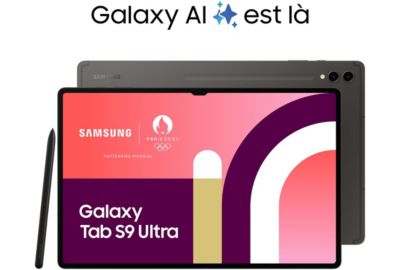 Tablette Android SAMSUNG Galaxy Tab S9 Ultra 14.6 Wifi 512Go Gris